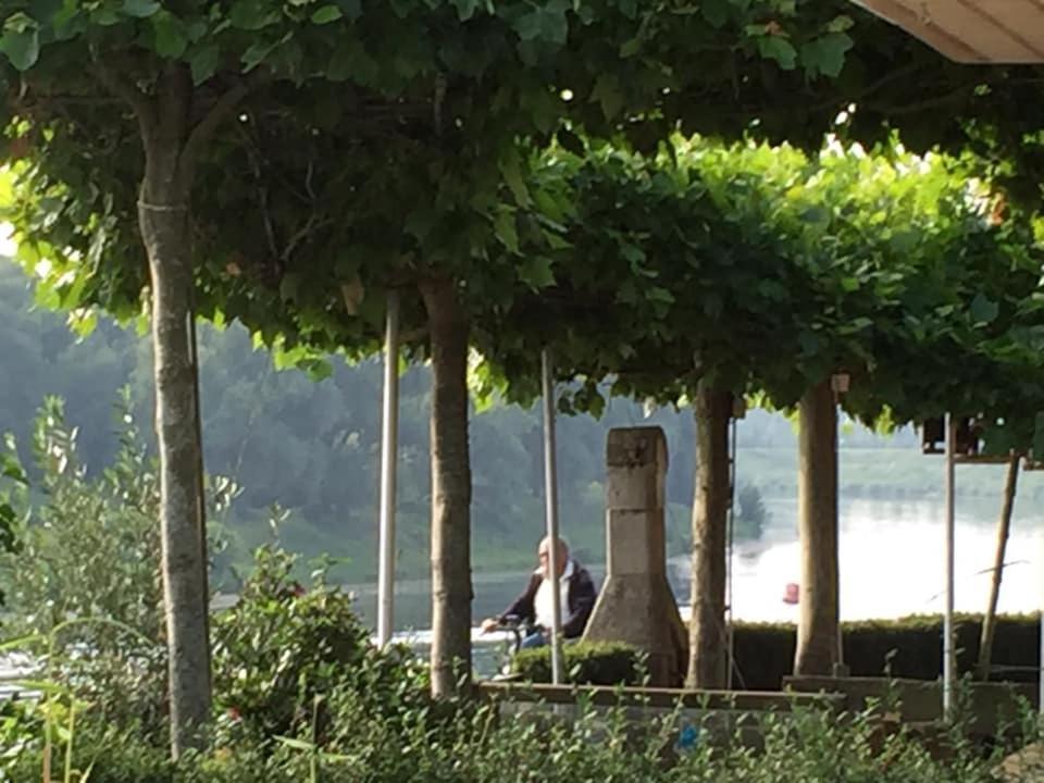 Maas Chalet Aldeneik Maaseik Dış mekan fotoğraf